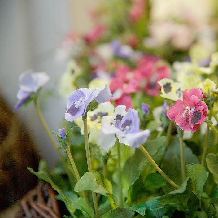 meisterstrasse.at